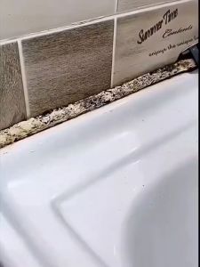 ยาแนวกันเชื้อรา หมดปัญหาเรื่องเชื้อราในห้องน้ำ ทำเองง่าย ยาแนวห้องน้ำ ยาแนวกระเบื้อง กาวยาแนวกันน้ำ