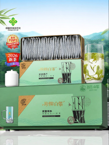 SHIFENG | High Grade Green Tea New Early Harvest Picked Small Bag