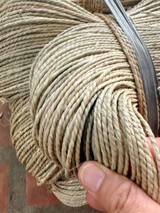 Thắt Lưng Rơm Biển Hai Sợi Tự Nhiên Thủ Công DIY Thắt Lưng Rơm Thủy Sinh Thắt Lưng Rơm Hai Sợi Thắt Lưng Rơm Kết Hợp