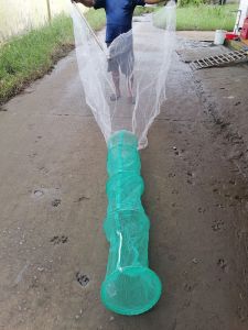 Dớn bắt cá MIỀN TÂY siêu chạy cá.