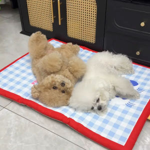 Petone dOrage | Waterproof Cooling Pad For Pets