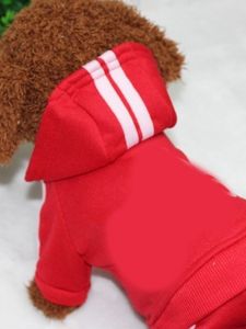 Totoro Pet Costume Teddy Small Size Dogs New Arrival Clothing Dog Clothes Four-Legged Cotton-Padded Clothes Pet Clothes Autumn and Winter