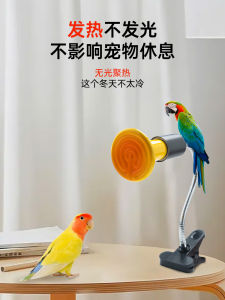 Lồng Chim Thú Cưng Đèn Gia Nhiệt Gốm Sứ Vẹt Huyền Phượng Đèn Giữ Nhiệt Không Ánh Sáng Giữ Nhiệt Chuột Hamster Lô Đinh Gà Sưởi Ấm Qua Đông