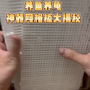 small dwarf beans colored beans blackberries chili crab climbing rack isolation panel climbing 30x30cm Grid Divider Plate Detachable Spliceable Fish Tank Isolation Plate Upper Cover Net Bottom Filter For aquarium Hermit crab climbing stand ladder climb