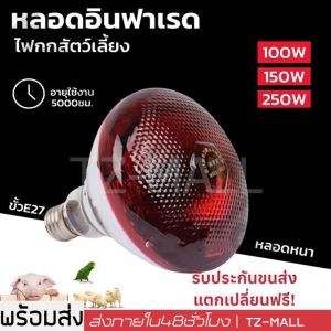 หลอดไฟอินฟาเรด หลอดไฟกกสัตว์ หลอดไฟให้ความอบอุ่น รุ่นเรียบ ไฟกกหมู ไฟกกไก่ ไฟกกลูกไก่ ไฟกกลูกหมู ไฟให้ความร้อน ไฟอินฟราเรด