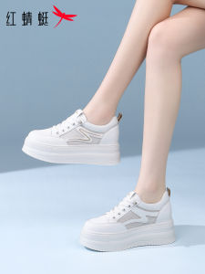 Reddragonfly | Breathable Mesh Platform Sneakers for Women
