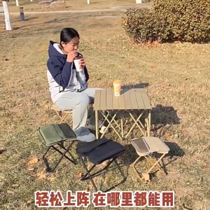 เก้าอี้ปิคนิค เก้าอี้พับ 2IN1เก้าอี้พับกลางแจ้ง เก้าอี้พับพกพาสะดวก พกพาได้ พับ เก็บใส่ถุง เดินป่า มี ตกปลา