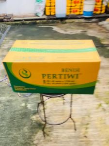 Benih jagung manis Pertiwi talenta dari BENIH PERTIWI