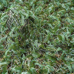 ผ้าสาหร่ายนามธรรมสำหรับชุดเดรสลูกไม้ฤดูร้อน วัสดุตกแต่งปัก น้ำหนักเบา ระบายอากาศได้ดี TJ9111