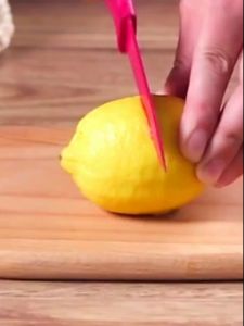Stainless Steel Lemon Squeezer Premium light KMV Trading
