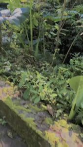 CELANA PENDEK BOXER MOTIF KARAKTER BAHAN PUTIH PRIA WANITA DISTRO SHORT