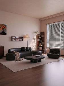 HSMJ | Light Luxury Curved Sofa