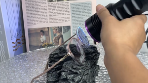 ( Beli 1 Gratis 1 Kacamata ) New Kacamata Kotak Wanita Model Hijab Lensa Minus Photocromic Frame Optik Perempuan Glasses Eyewear