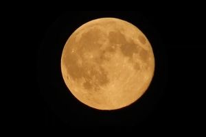 Mini Monocular Telescope Super Zoom 40 X 60 Dual Focus HD Monocular Prism Scope with Compass Phone Clip Tripod Phone Holder for Stargazing Camping Bird Watching Hiking and Sport