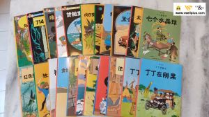 丁丁历险记 全套22册 大开本 漫画 中文版 书籍 Chinese Books - The Adventures of Tintin