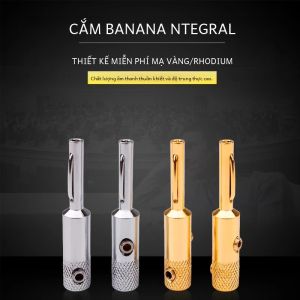 4 Chống Ăn Mòn Chuối Cắm Âm Thanh Video Khuếch Đại Loa Cáp Jack Cắm Nam Kết Nối Bởi YYTCG