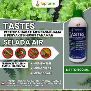 Obat Untuk Daun Selada / Obat Hama Selada / Obat Semprot Hama Selada / Obat Daun Selada / Obat Seladah / Obat Selada / Obat Hama Selada Hidroponik