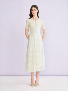 Elegant Hollow Lace Mesh Spliced Waist-Cinching Round-Neck Dress