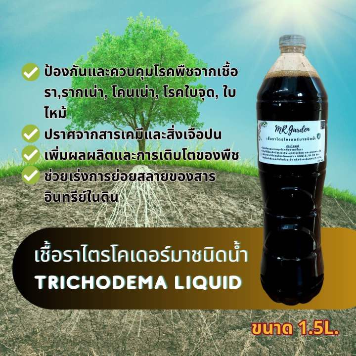 Liquid Trichoderma Bio Fungicide ชนิดน้ำ ป้องกันรากเน่า
