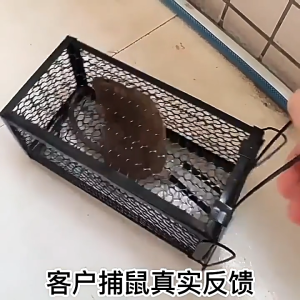 Effective Heavy Duty Mouse Trap Cage Reusable Metal Rat Trap Perangkap Tikus Besi Berkesan Tahan Karat 高效耐用捕鼠笼 活捉老鼠 老鼠笼