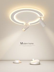Modern Simple Creative LED Ceiling Light