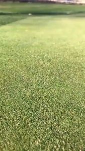 แพ็ค50ชิ้น หมุดยึดผ้าคลุมวัชพืช พลาสติกคลุมดิน หมุดยึดผ้าคลุมดิน เหล็กเสียบคลุมดิน หมุดปักดิน สมอบก หมุดยึด ตะปูปักดิน ปักดิน