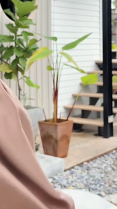 ชุดธีมเพื่อนเจ้าสาว ชุดผ้ามูกมูก ไม่ต้องซีดดันเลือด ชุดเดรสออกงาน ฉีดฟิลเลอร์เสริมจมูก