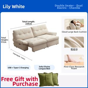 Electric Extendable Sleeper Sofa French Style Scratch Proof