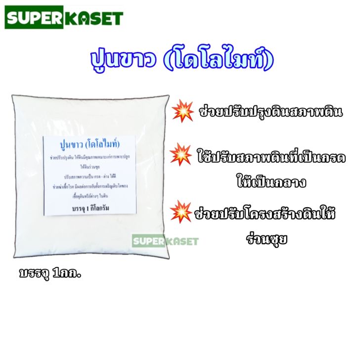 ปูนขาวโดโลไมท์ยี่ห้อไหนดี? 6 อันดับยอดนิยมสำหรับปรับสภาพดินและบำรุงพืช อัปเดตปี 2025
