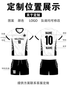 2025 New Volleyball Uniforms for Men And Women Student Professional Competition Training Sports Team Full Body Printed Jersey