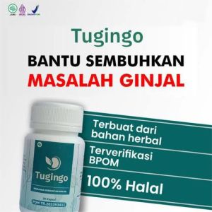 TUGINGO ASLI OBAT TUGINGO ORIGINAL BPOM MENGOBATI BATU GINJAL