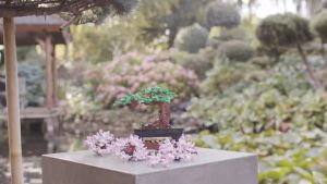 LEGO Botanicals 10281 Bonsai Tree (878 Pieces) Building Block Toys Bricks