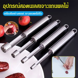 อุปกรณ์เจาะแกนผลไม้💖 แกนสแตนเลส การคว้านเมล็ดผลไม้ การเอาเมล็ดแอปเปิลออก