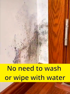 William Weir Mildew Remover WLWE Wall Fungus Remover Spray Anti Fungus Mold Remover