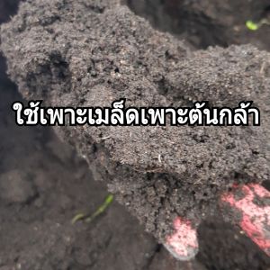 ดินเพาะเมล็ดเพาะต้นกล้าอย่างดี(ผ่านกระบวนการหมักและร่อนละเอียดแล้ว)