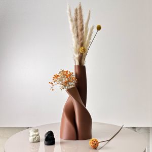 Bộ 2 Bình Đôi Hình Dạng Đặc Biệt Bình Hoa Khô Sáng Tạo Nhiều Màu Sắc Tùy Chọn Phong Cách Hiện Đại Cho Phòng Khách Nhà Bếp
