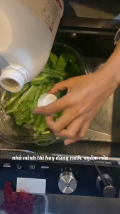 Nươc Ngâm Rửa Thực Phẩm Sinh Học Fuwa3e Chai 1L Thành Phần 100% Enzym Sinh Học KO Hóa Chất