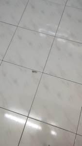 【GH 393】 Dolphin Container 4 & 5 Tier Plastic Drawer Cabinet With Hidden Roller (XL)| Extra Large-Clothes Storage Drawer/Bekas Laci Almari Baju/Storage Cabinet