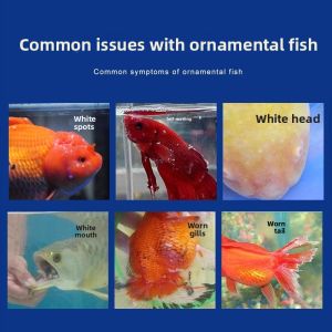 MONLEYTA | White Spot Clean Fish Medicine For Smut Disease Water Mold treatment Special For Ichthyophthirius Multocida Koi White Hair Disease