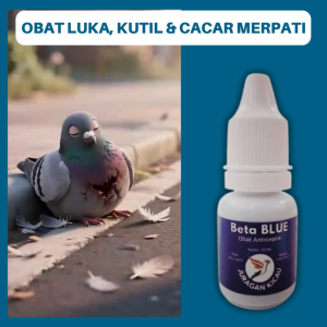 Obat Luka Merpati Korengan Kutil Dan Cacar Biar Cepat Sembuh