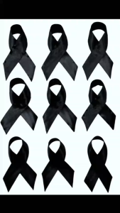 เข็มกลัดไว้อาลัย โบว์ริบบิ้นสีดำไว้อาลัย **สินค้าพร้อมส่ง**