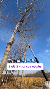 sào nhôm carbon rút dài 10m Tosuki gắn cưa đầu kéo cắt tỉa cành cây trên cao - thanh sào oval kết nối dụng việc trên cao