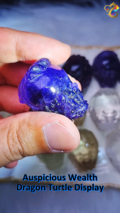 Auspicious Wealth Dragon Turtle Display (6 Types To Choose)