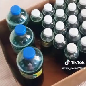 DISHWASHING LIQUID - 1 LITER AND 330 ML (CALAMANSI)