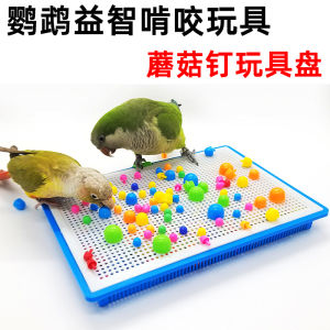 Parrot Toys Mushroom Nail Toy Plate Bite Relieving Stuffy Molars Foraging Puzzle Artificial Training Props for Xuanfeng