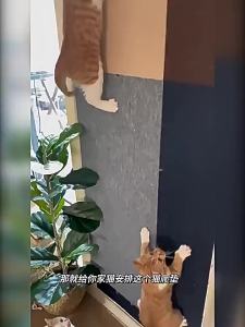 Trimmable Self-Adhesive Cat Scratch Mat Furniture Sofa Protector Durable Felt Scratching Pad Wall Mounted Cat Scratcher Carpet