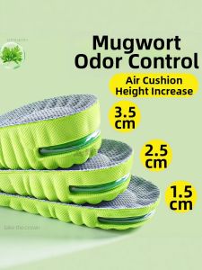 ZUYINBULUO | Odor Prevention Hidden Insoles Comfortable and Moisture-Absorbent Cushioning
