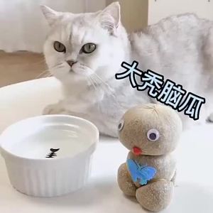 ตุ๊กตาหัวหญ้า หญ้าแมว กระถางสร้างสรรค์ หญ้าแมวธรรมชาติแท้ ของแต่งบ้าน ตุ๊กตาหญ้าแมว ขนมแมว หญ้าแมวอินทรีย์ หญ้าข้าวสาลี ต้นไม้จิ๊ว ของแต่งบ้าน ของเล่นเด็ก A208