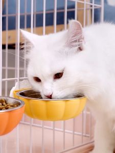 Pet Wonderland Pumpkin Shape Hanging Dog Bowl Stainless Steel Pet Removable Feeding Bowl Water Bowl