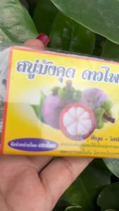 ดาวไพร สบู่ผลไม้ สบู่มังคุด+วิตามินอี ขนาด 80 กรัม